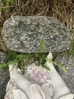 086633B0-AB46-4C84-A89C-E0D90880656A.webp