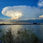 20230509_192030.webp