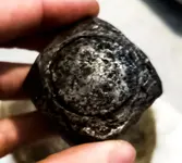 Screenshot_20230511-112542_Lightroom.webp