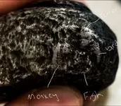 Screenshot_20230511-114502_Gallery.webp