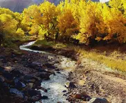 torrey utah 4.webp