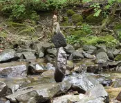 DSC00355 2.webp