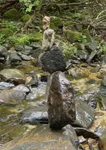 DSC00371.webp