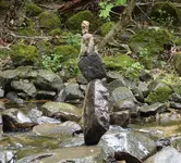 DSC00372.webp