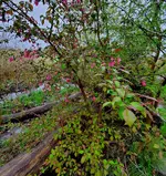 20230514_072538.webp