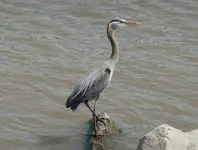 DSC00404.webp