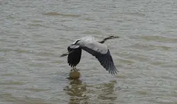 DSC00400.webp