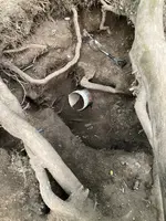 the pit.webp