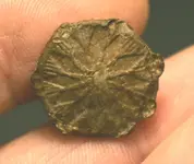 pewter button 1.webp