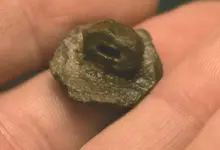pewter button 2.webp