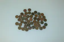 IMG_5676copper.webp