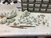 all my finds.JPG