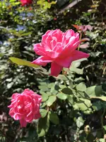 5B9DAF0F-3F92-4EC5-9910-59C4C37840AD.webp