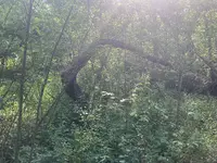 D74A4200-E769-43A5-AB59-4D19360F3287.webp