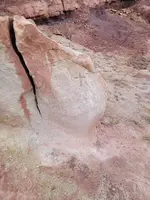 20221026_180453.webp