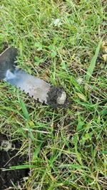 20230604_080310.webp