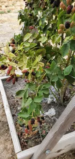 20230607_105451.jpg