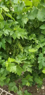 20230607_105528.jpg