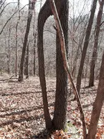 20211205_125807.webp