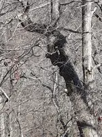 20220325_163025.webp