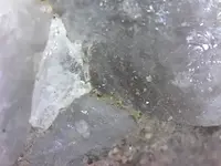 S20230614_0001.webp