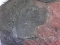 S20230614_0003.webp