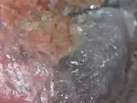 S20230614_0005.webp