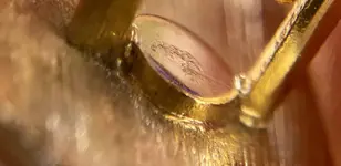 D7D12C40-5E64-437C-AB53-6463DCCC0CBB.webp
