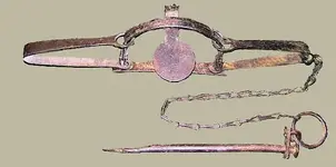 Newhouse%20Trap.webp