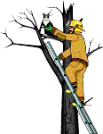 JOHNS DETECTING PICS 032.gif