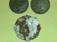 token wheaties.webp