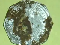 P.C. Dairy Token Resized.webp