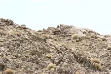 Superstition North Outcropping 5.webp