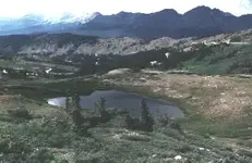 cotpass2.webp