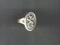 Brownie Ring.webp