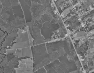 New Berne (Small).webp