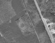New Berne 2 (Small).webp