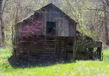 matson1.webp