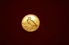 gold coin back.webp