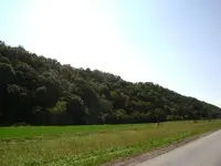 DSC04424.webp