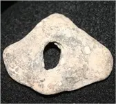 fossil.webp