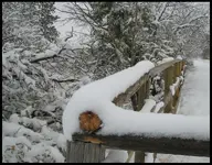 winter again.webp