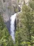 91d6.webp