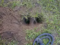 firstsilverhole.webp