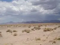 mojave desert.webp