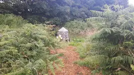 20180708_113437.webp