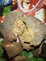 20230703_113318.webp