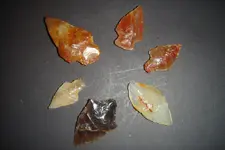 DSC08605.webp