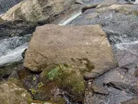 20230701_110852.webp