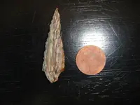 DSC01509.webp